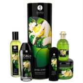Lubes & Lotions 乳液類