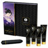 Shunga Naughty Geisha Kit Gift Set